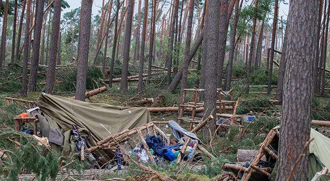 Sekretarz generalny ZHR: zakaz rozbijania namiotów pod drzewami naruszyłby sens naszego funkcjonowania