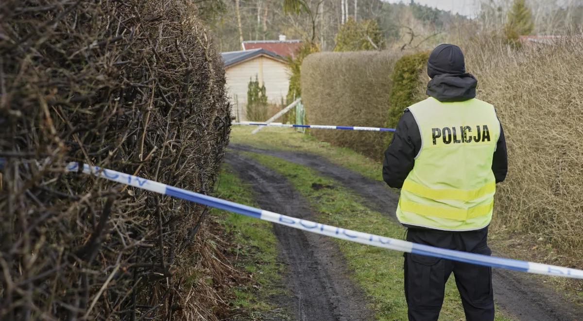 Poszukiwania Iwony Wieczorek. Dron, georadar i koparka na działkach w Sopocie