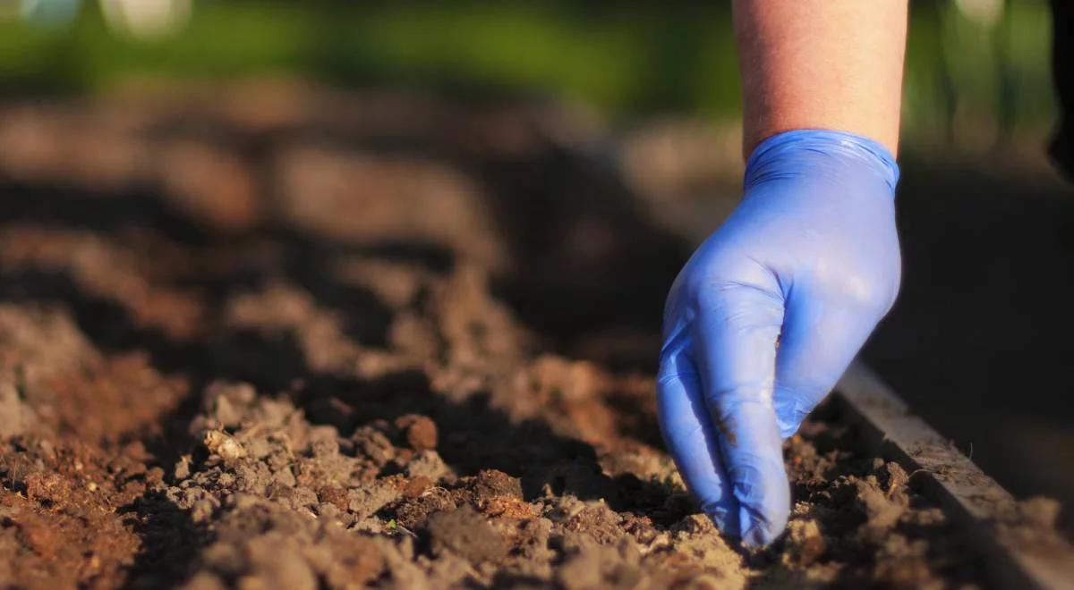 Agroekologia. Przyjazne dla klimatu i ekosystemów systemy rolno - żywnościowe