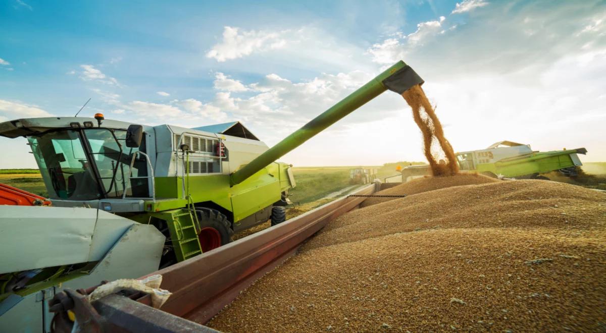 Rosja manipuluje światowymi cenami zbóż. Ekspertka: to wpływa na nasz rynek