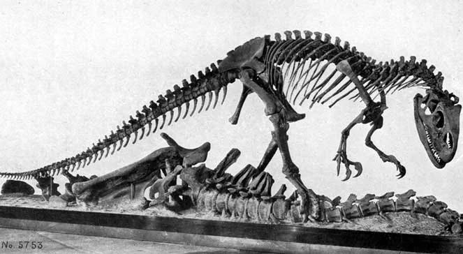 Czy skamieniałości dinozaurów to towar?