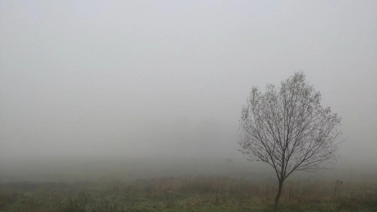 Pogoda: sporo chmur, temperatura lekko na plusie