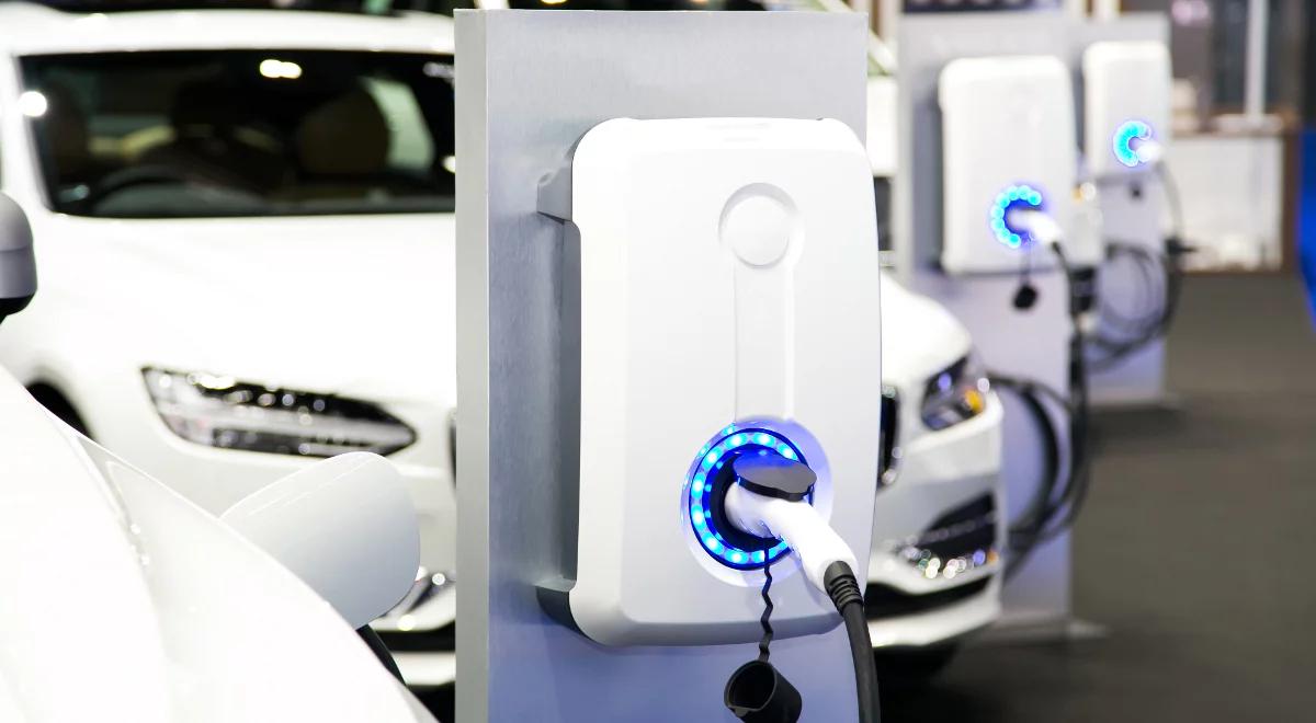 Polacy coraz bardziej zainteresowani elektromobilnością. "Potwierdzają to wyniki rynkowe"