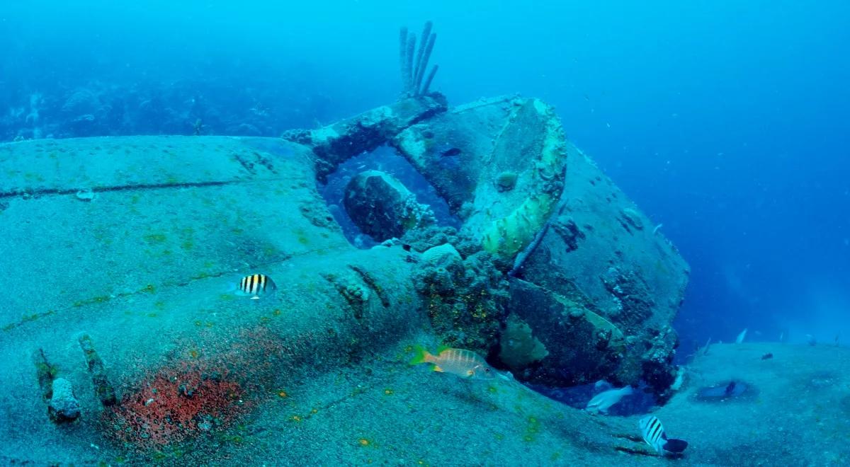 Inwentaryzacja wraków. 1600 holenderskich okrętów spoczywa na dnach mórz i oceanów