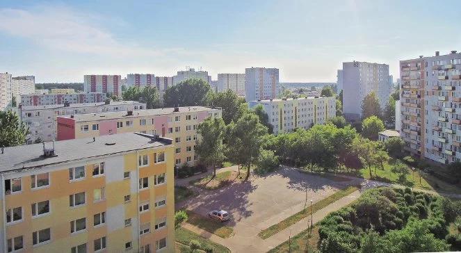 Jak dobrze mieć sąsiada