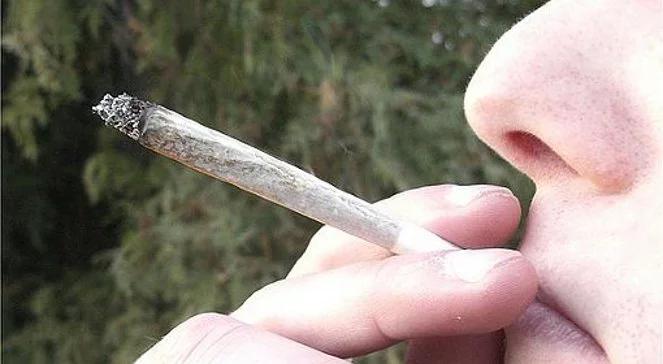 Polacy nie chcą legalizacji narkotyków. "To zagrożenie"
