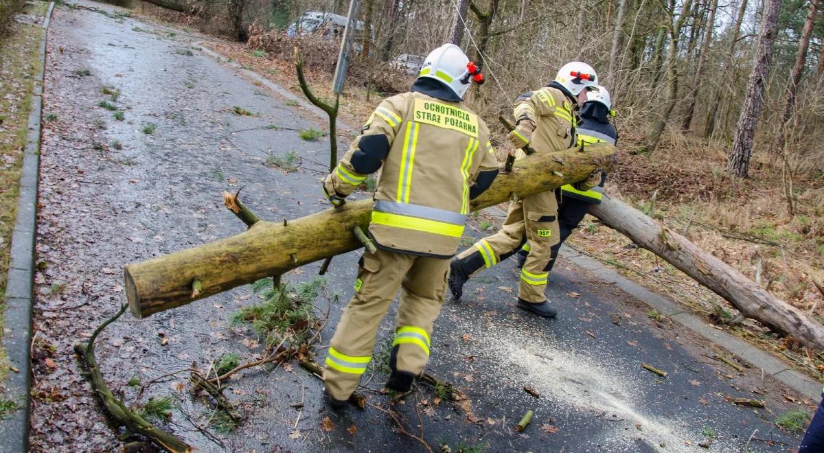 Tragiczny bilans wichur nad Polską. Zginęły dwie osoby