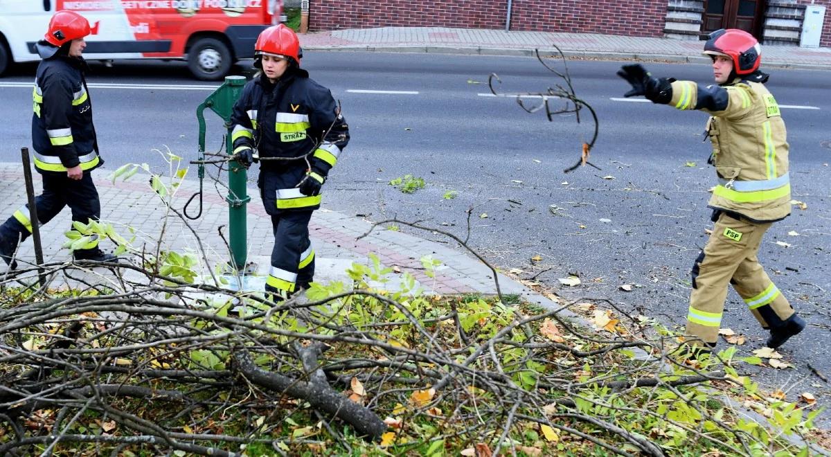 Tysiące interwencji i wielu mieszkańców bez prądu. Straż Pożarna podsumowuje szkody po wichurach 