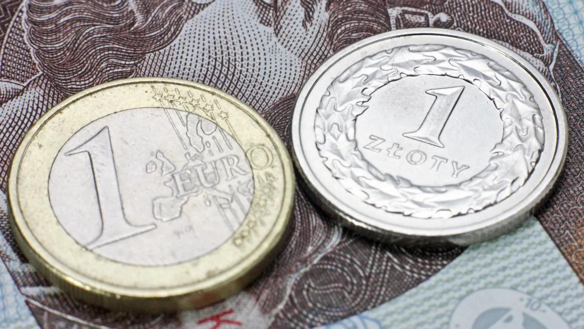 Jasna deklaracja Polaków w sprawie euro. Jest nowy sondaż