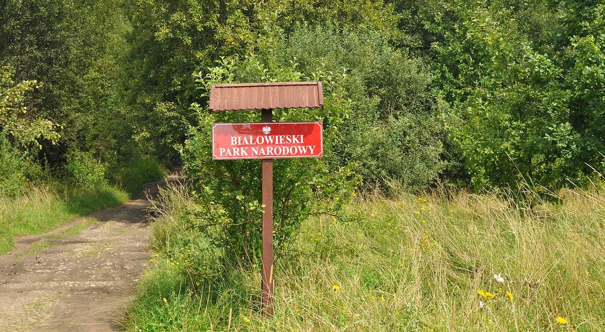 Unijne dofinansowanie rozwoju biznesu na obszarach Natura 2000