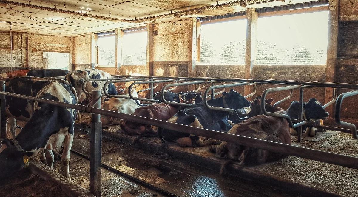 ARiMR: wnioski na modernizację gospodarstw rolnych idą do weryfikacji