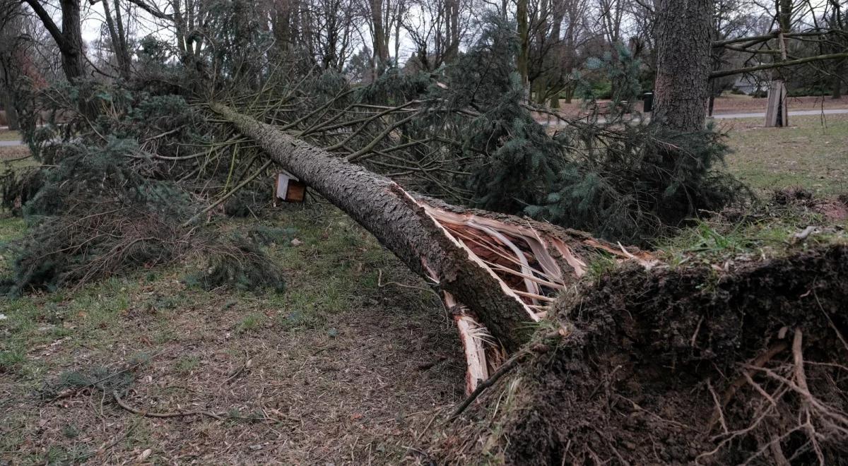 Ostrzeżenia przed silnym wiatrem w niemal całej Polsce. IMGW wydało także alerty hydrologiczne