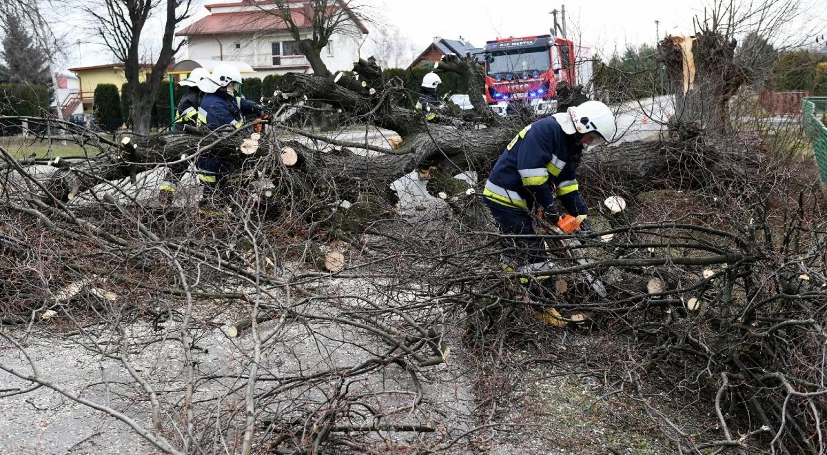 Nocne wichury nad północno-zachodnią Polską. Kilkadziesiąt interwencji straży