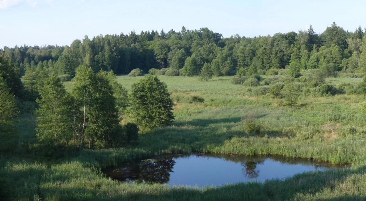 WWF: ponad połowa obszarów przyrodniczych w UE chroniona tylko na papierze