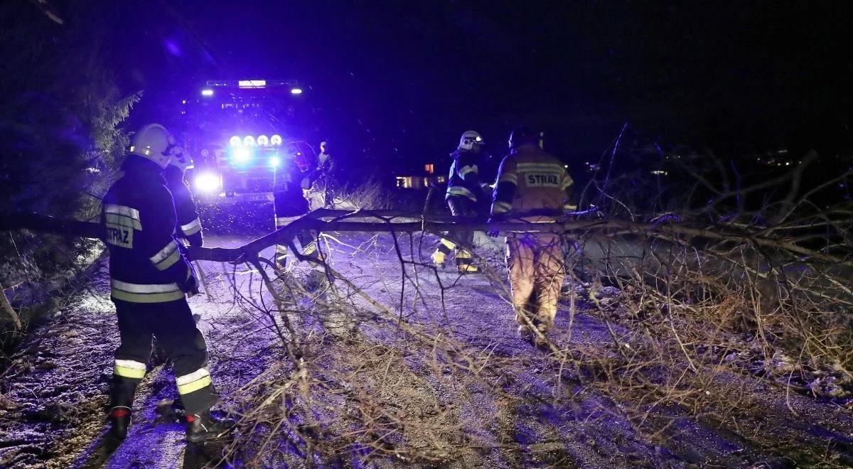 Uwaga na silny wiatr. IMGW wydał ostrzeżenia dla kilku województw