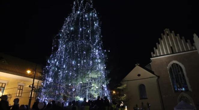 Kraków: runęła choinka przed Oknem Papieskim