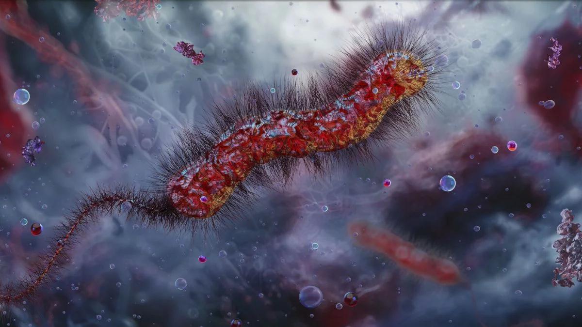 Cholera: zakażenie, objawy, leczenie i szczepionka – jak się chronić?