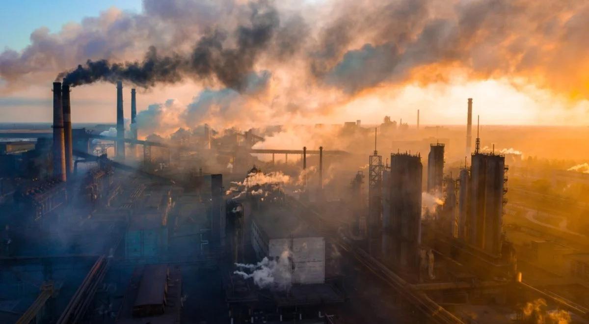 Co dalej z Zielonym Ładem? "Regulacje nie służą klimatowi, za to uderzają w gospodarkę"