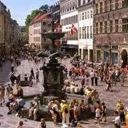 "Polska": Liczna polska delegacja w Kopenhadze