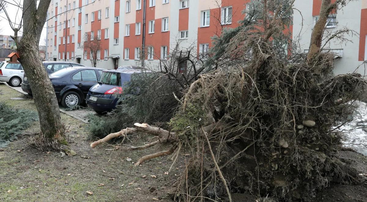 Ponad 700 uszkodzonych budynków, 15 osób rannych. Efekt wichur nad Polską