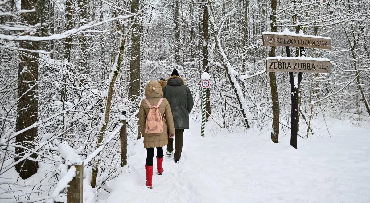 Pogodowy rollercoaster za oknem. Kiedy wróci do nas prawdziwa zima? Rzecznik IMGW wyjaśnia