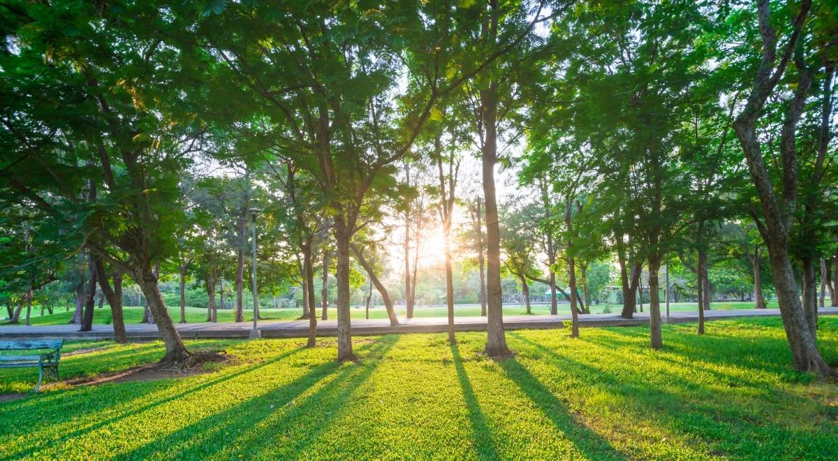 Prognoza pogody na środę: temperatura do 27 stopni. Uwaga na burze z gradem