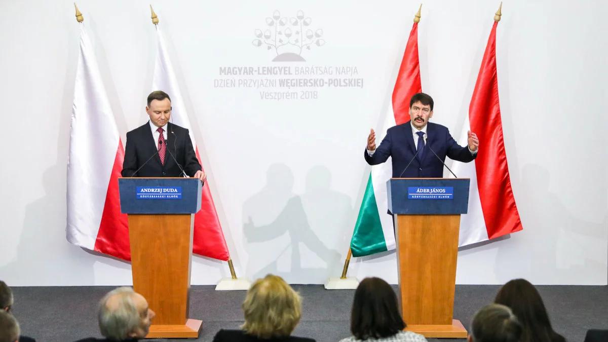 "Wspólnota losów i zbieżność dążeń". Prezydent Andrzej Duda w Dzień Przyjaźni Polsko-Węgierskiej