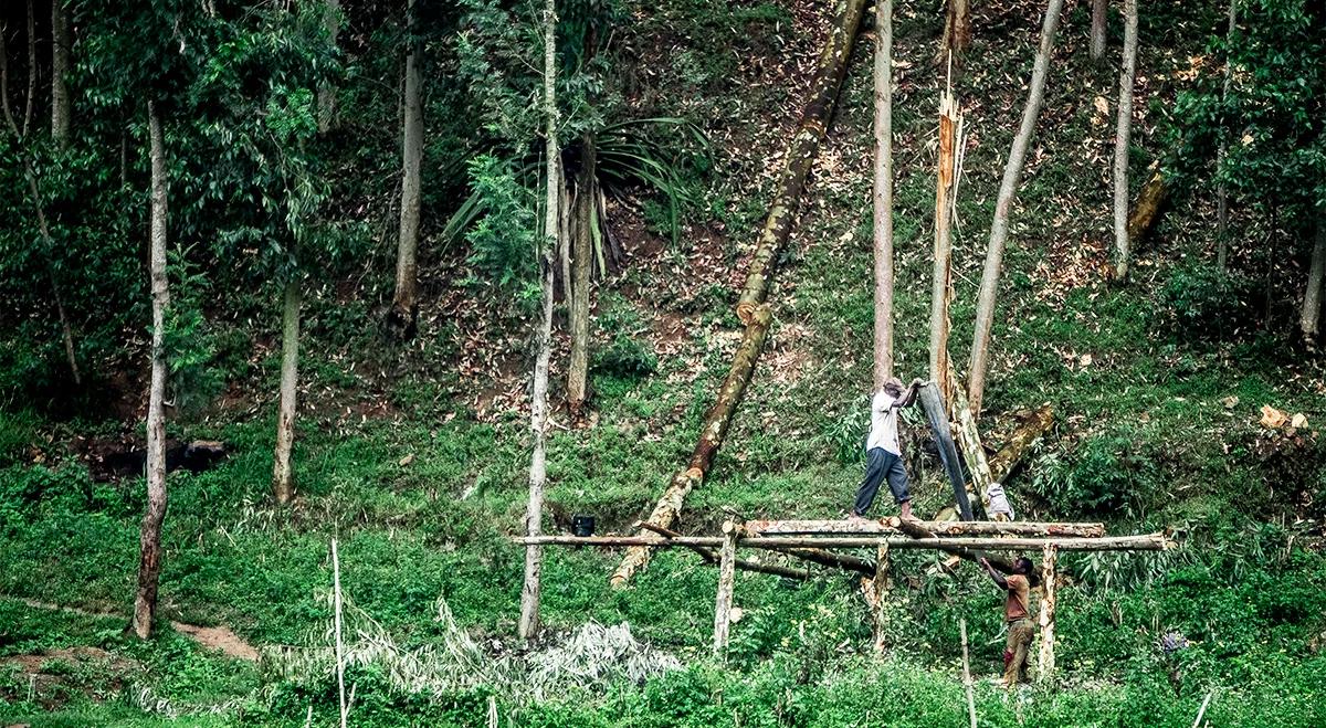 Tanzania: Rozwój nadchodzi!