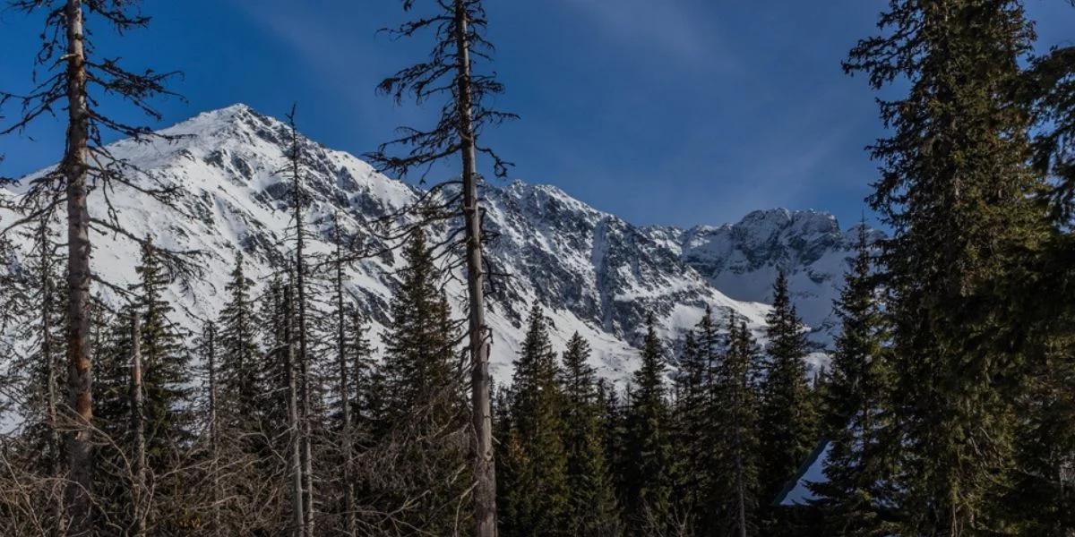 Tatry. Trudne warunki turystyczne w wyższych partiach. Wzrosło zagrożenie lawinowe