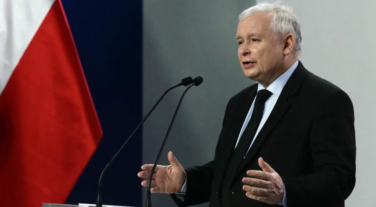 Ustawa w sprawie wycinki drzew. Jarosław Kaczyński: będzie poprawka, błąd w ustawie zostanie naprawiony