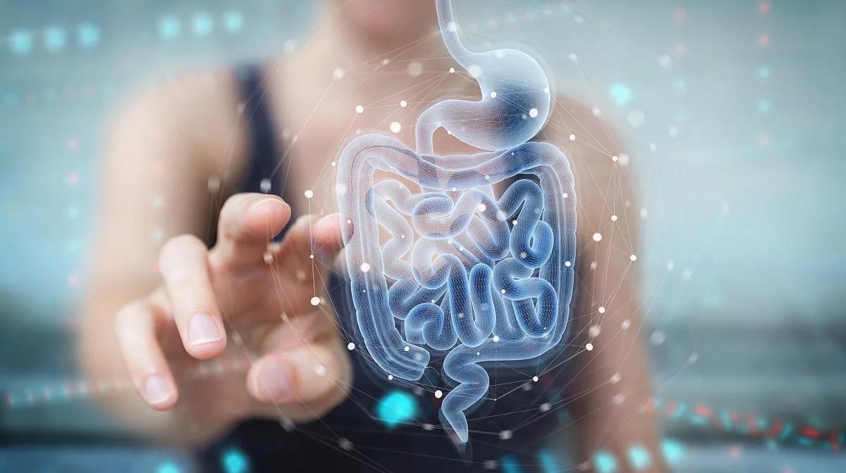 Mikrobiota  chroni przed chorobami. Warto ją wspierać odpowiednią dietą 