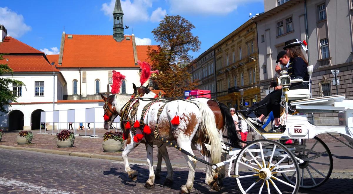 Ruszyła 5. edycja akcji "Polska zobacz więcej - weekend za pół ceny" 