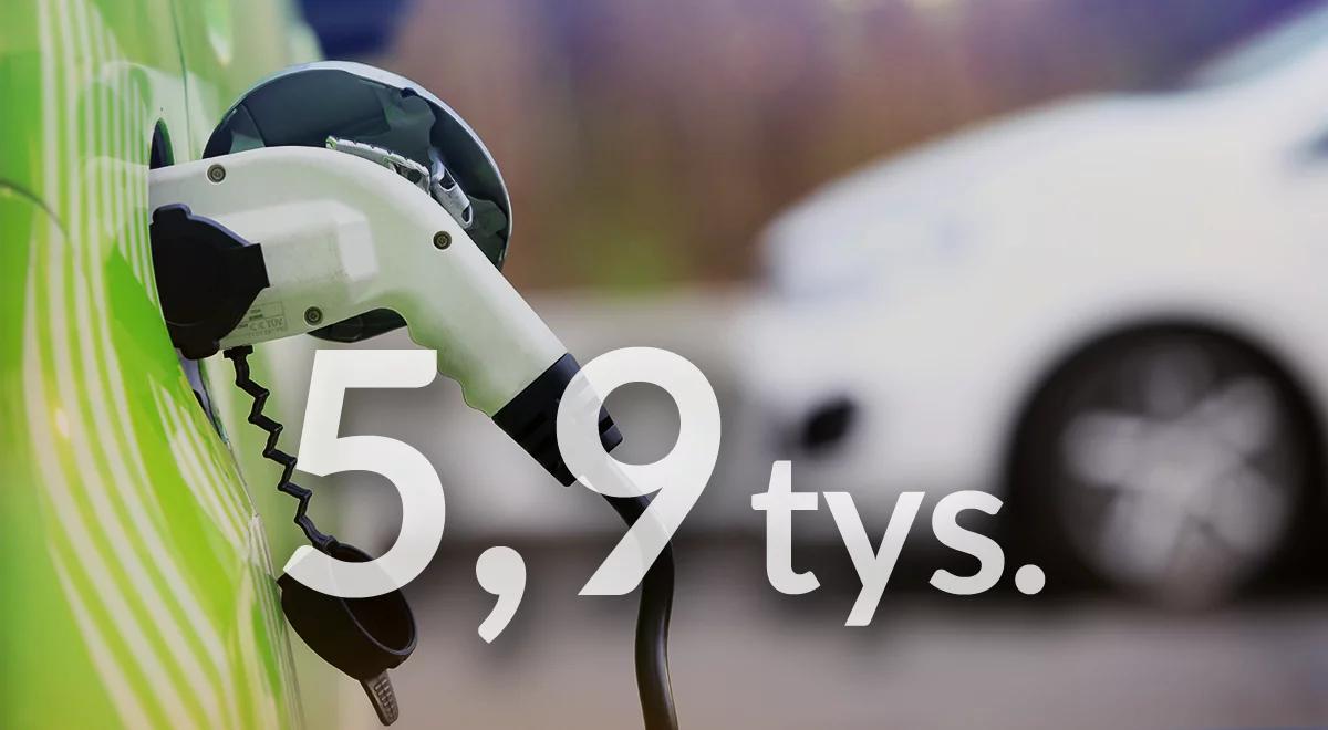 Ile w Polsce jest aut elektrycznych?