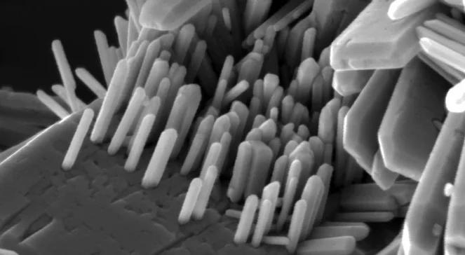Nanotechnologia - tam, gdzie spotykają się różne nauki