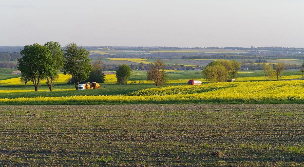 Dziś najcieplej na południowym wschodzie, gdzieniegdzie może popadać. Prognoza pogody