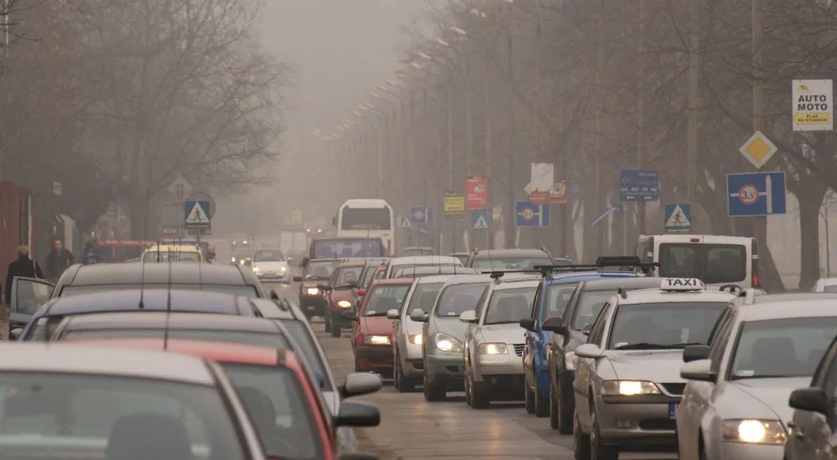 Jakość powietrza w miastach. Transport trucicielem