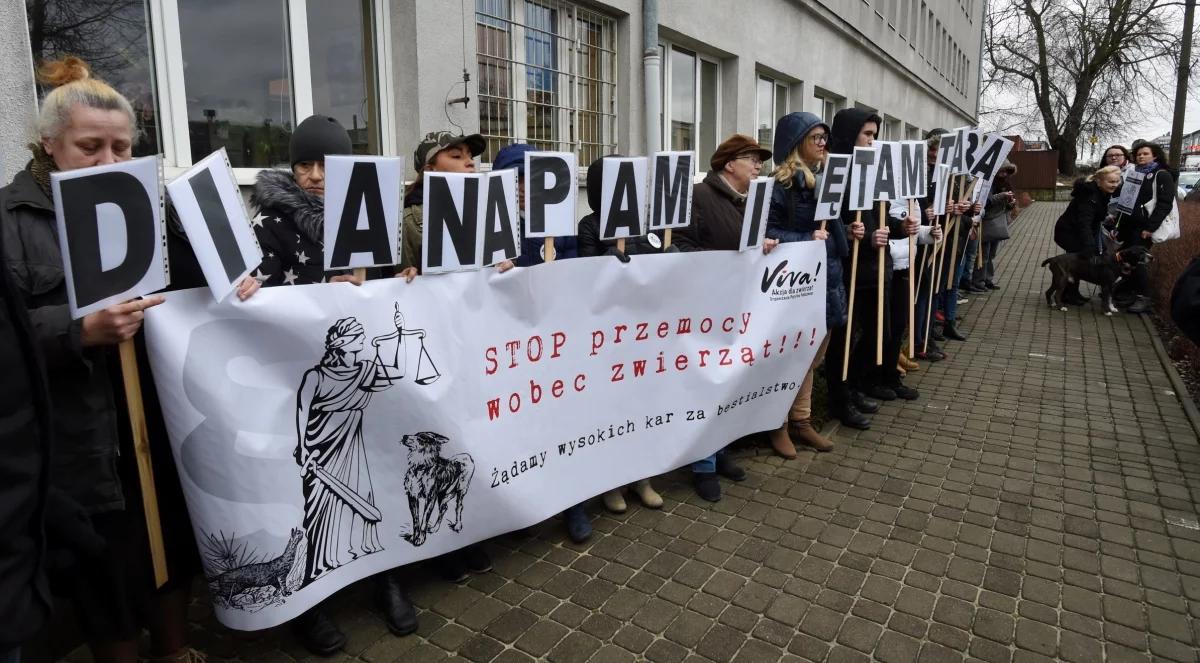 Pół roku bezwzględnego więzienia za znęcanie się nad psem