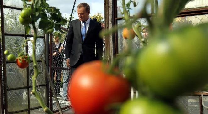 Wybory na żywo. Tusk z pomidorami, Kaczyński wśród leków