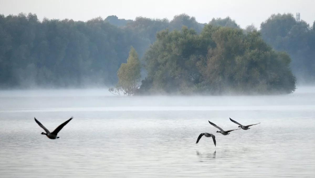 Prognoza pogody: w niektórych regionach przydadzą się parasole