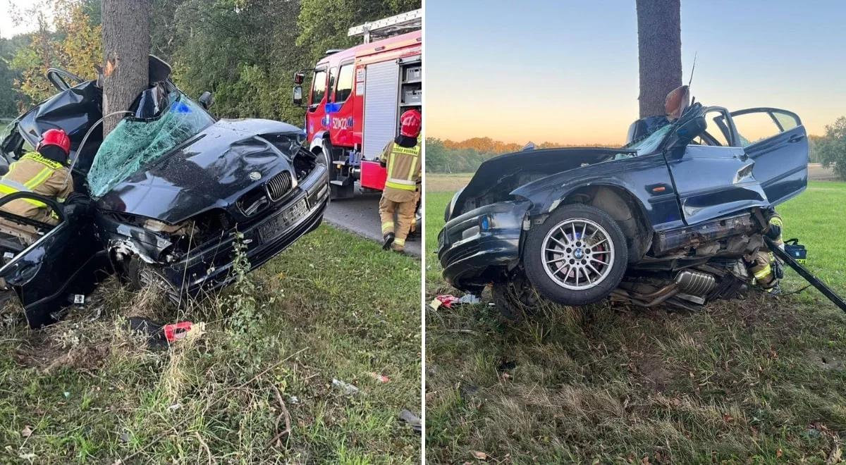 Tragedia na Lubelszczyźnie. Auto roztrzaskało się na drzewie, zginął 23-latek