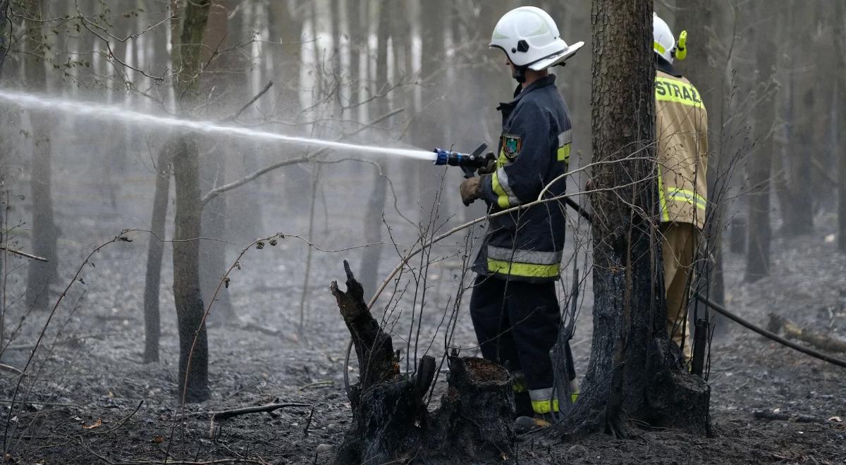 Klimatolog alarmuje. "W Polsce będzie jak w Kalifornii czy Australii"