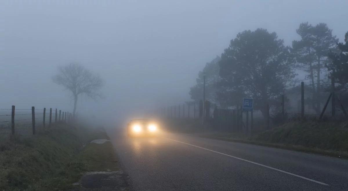 W nocy pogodnie, ale mgliście. IMGW apeluje do kierowców o ostrożną jazdę