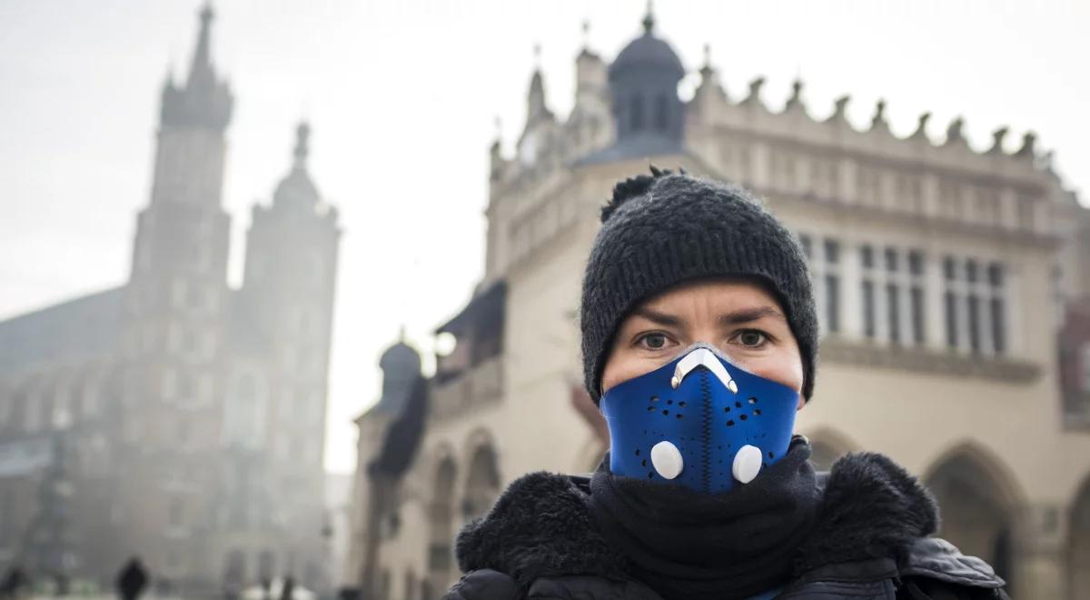 Walka ze smogiem przyspieszy? Rząd zapowiada normy dla węgla do domowych pieców od przyszłego sezonu grzewczego