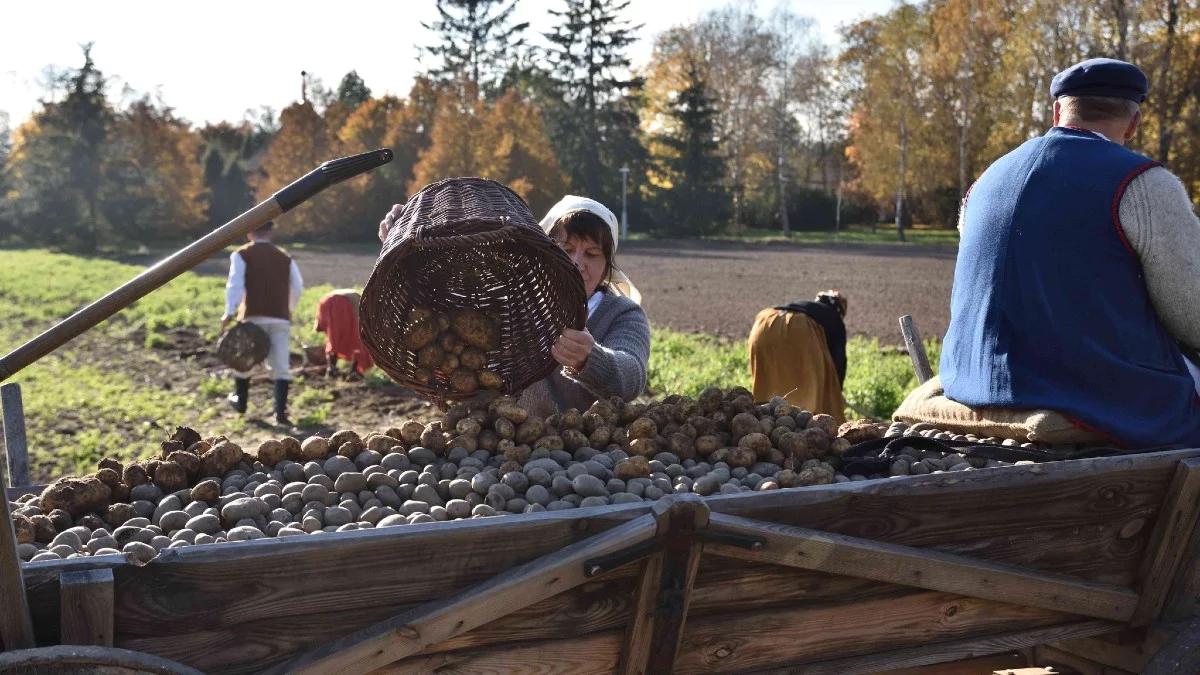 Muzeum Wsi Mazowieckiej w Sierpcu. "Jakby ktoś na chwilę wyszedł z domu"