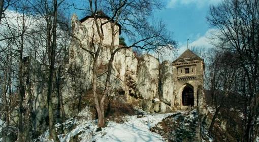 Czartoryscy czekają na zamek