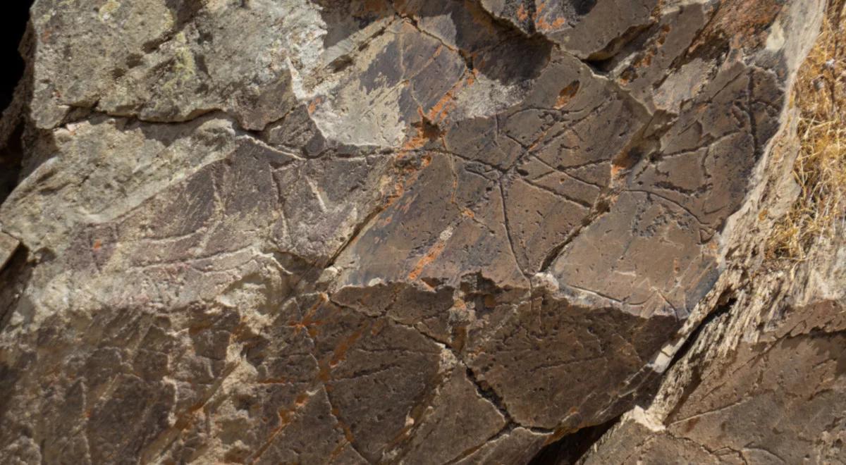 Portugalia. Odkryto wyjątkowe prehistoryczne malowidło z wizerunkiem człowieka