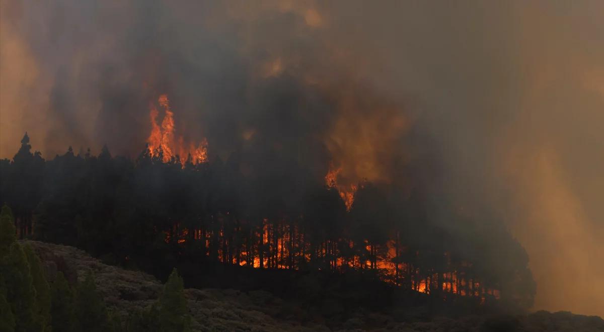Płoną lasy na Wyspach Kanaryjskich. Kilkuset ewakuowanych, w tym dzieci