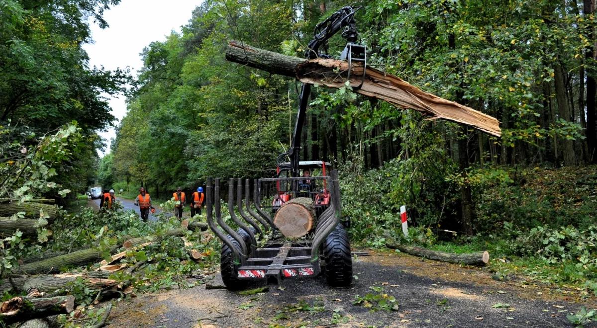 Szef RCB: po wichurach jeszcze 134 tys. odbiorców bez prądu