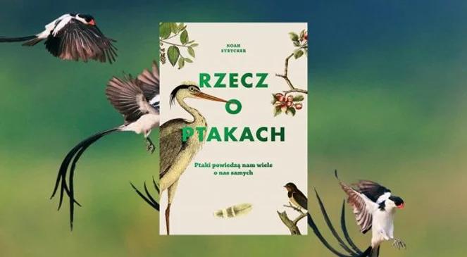 Co właściwie wiemy o ptakach?