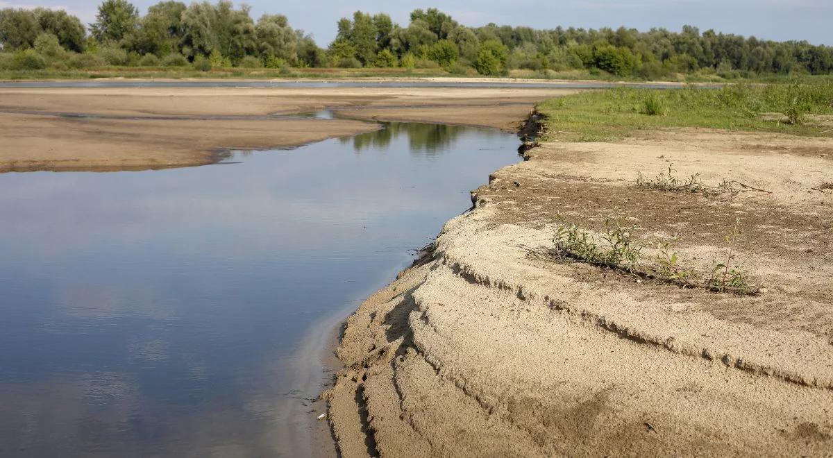 Wisła usycha, bo brakuje opadów. Ekspert apeluje o działania